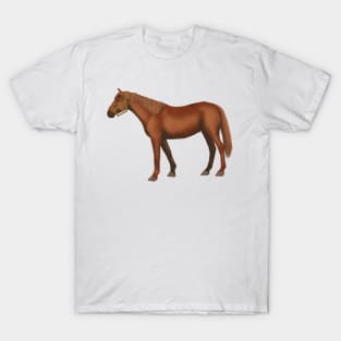 Chestnut horse T-Shirt